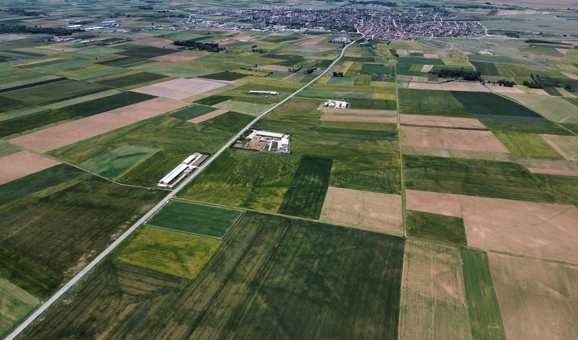 KONYA SARAYÖNÜ YUKARI'DA SATILIK 14.452 M2 KUPON TARLA!